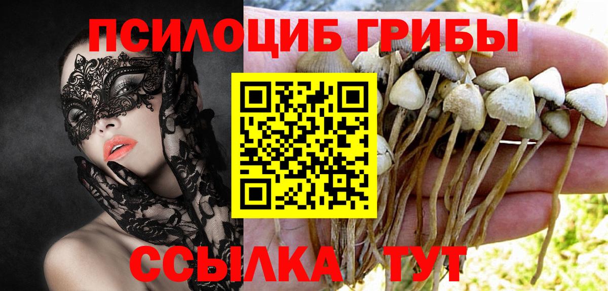 Галлюциногенные грибы Magic Shrooms Котлас