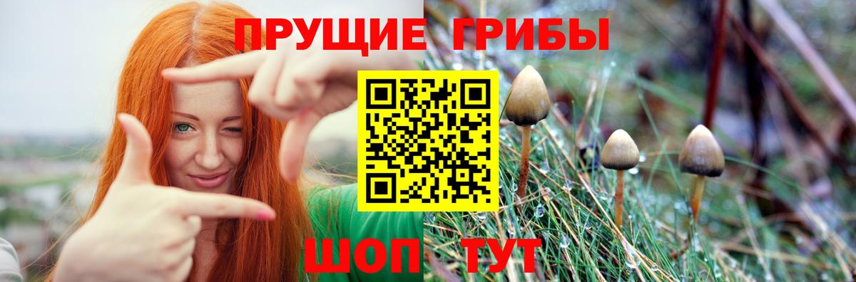 Котлас  Галлюциногенные грибы ЛСД  Вход с VPN 